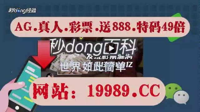 新澳门2024今晚开码公开,盛大解答解释落实_速达版66.88.1