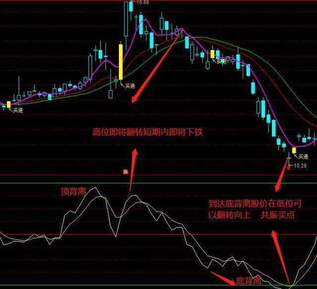 澳门今晚开特马+开奖结果走势图,知名解答解释落实_开放版34.26.67