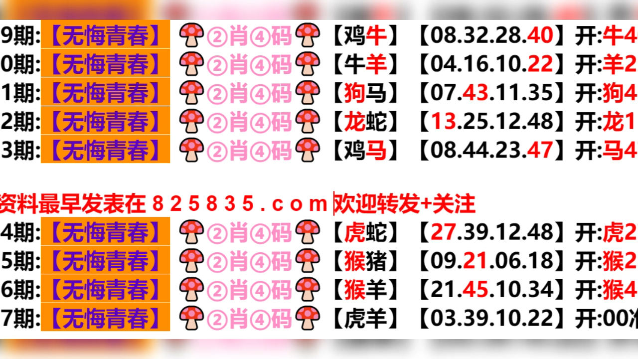 2024新澳门天天开好彩大全孔的五伏,人力解答解释落实_初级版62.19.86