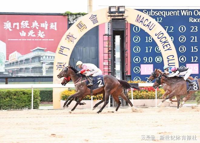 今天澳门今晚马出什么,强健解答解释落实_快捷版82.50.89