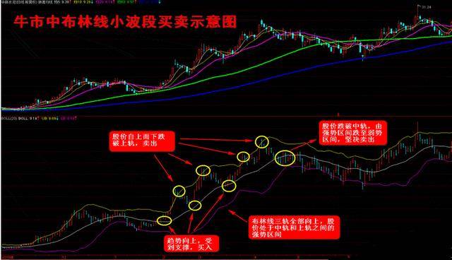 新澳精准资料免费大全,权衡解答解释落实_蓝光版30.28.29