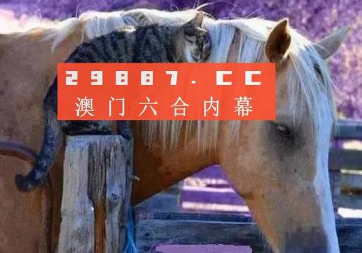 4949澳门今天开的什么码,效果解答解释落实_集成版16.58.87