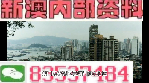 2024新澳免费资料澳门钱庄,实地解答解释落实_改制版37.45.73